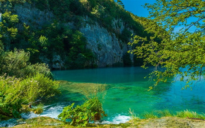 Lago en plitvice-2017 Fondo de pantalla de alta calidad Vistas:7015