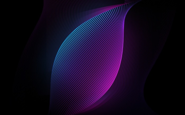 Blue and Purple Neon Curves Vector HD Wallpaper Views:10711 Date:2017/11/5 8:34:31