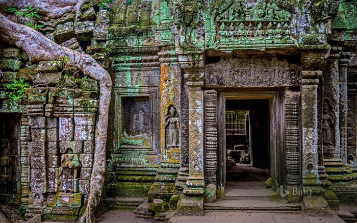 Cambodia Ta Prohm temple at Angkor 2017 Bing Wallpaper Views:12484 Date:2017/11/9 8:00:36