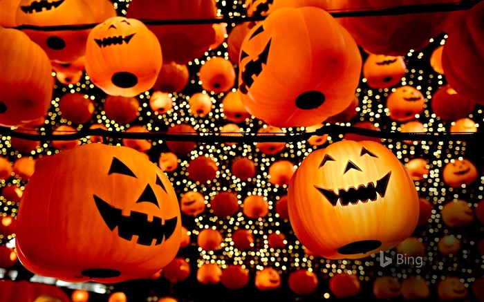 China Liaoning Halloween decoration 2017 Bing Wallpaper Views:7800 Date:2017/11/9 7:49:45