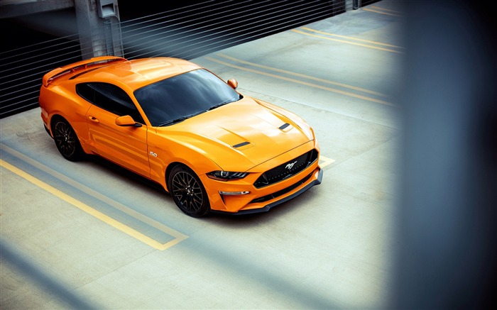 포드 mustang fastback 2018 고품질 배경 화면 찾아보기 :7036