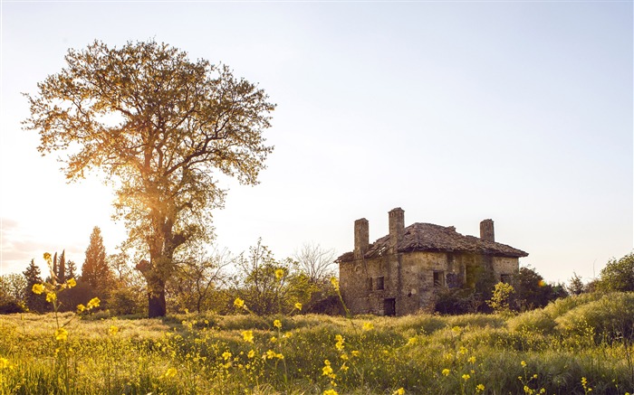 Grassland sunshine tree house Foto HD Wallpaper Visualizações:7528