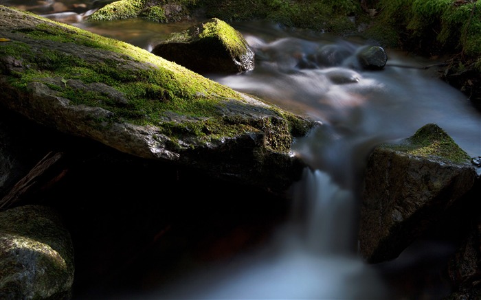 Ruisseau de la rivière Jungle 2017 Fond d'écran HD Vues:6178