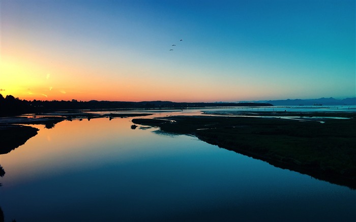 Rive du fleuve matin oiseau volant Paysage HD Fond d'écran Vues:13942