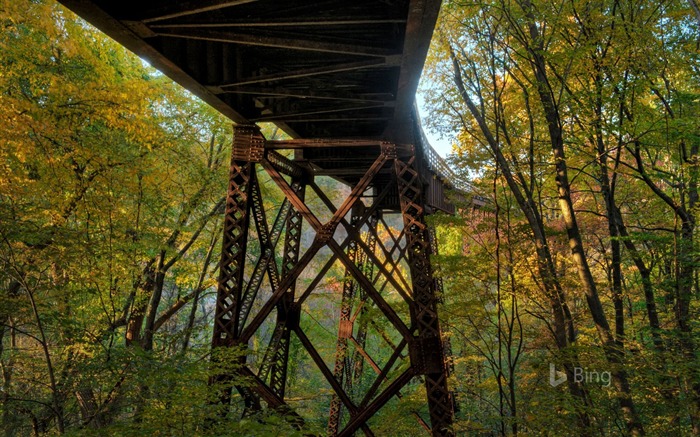 Nova York Railroad Bridge Trestle 2017 Bing Wallpaper Visualizações:7800