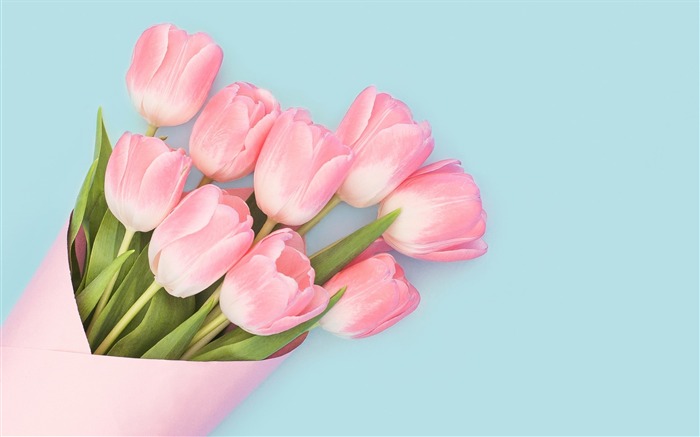 Tulipes roses simples 2017 Haute Qualité Fond d'écran Vues:11744