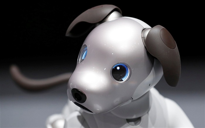 Sony aibo robot chien 2017 Haute Qualité Fond d'écran Vues:6530