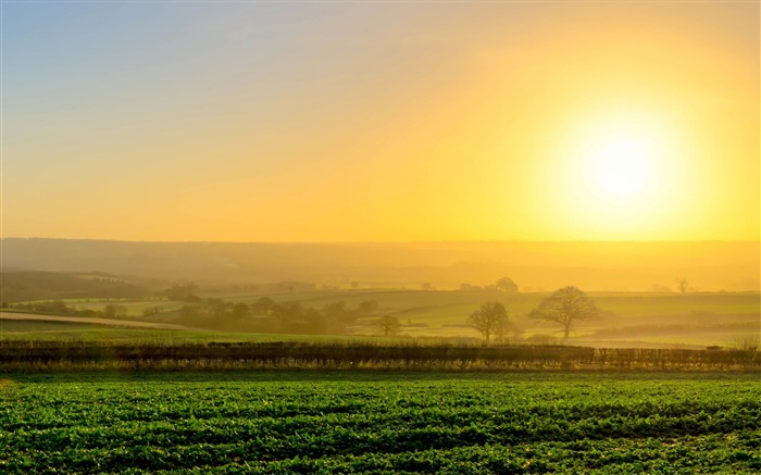 Sunrise Yellow Spring Mist Foto HD Wallpaper Visualizações:8752