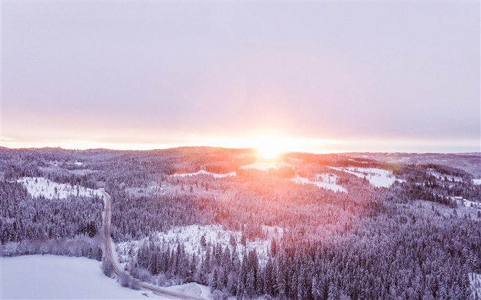 Lever du soleil de forêt d'hiver à l'aube Paysage HD Fond d'écran Vues:9249