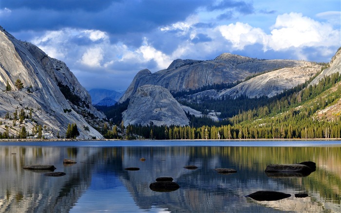 Forêt du parc national de Yosemite 2017 Fond d'écran HD Vues:7887