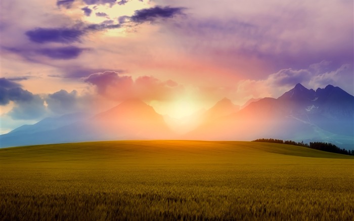 Campagne,crépuscule,ferme,été,HD,Paysage,Photographie Vues:10934