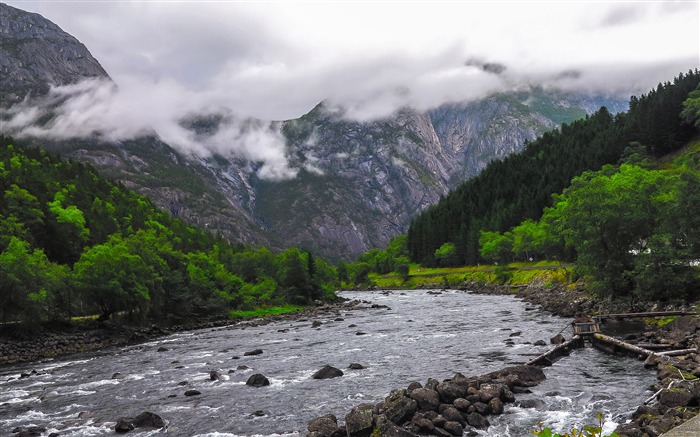 Lumière du jour, forêt, montagnes, rivière Vues:8479