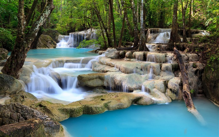 Bosque árboles corriente cascada rocas 4k paisaje disparar Vistas:16989