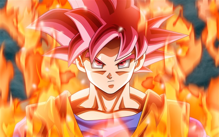 Dragon Ball Animation Characters 4K Ultra HD Views:61701