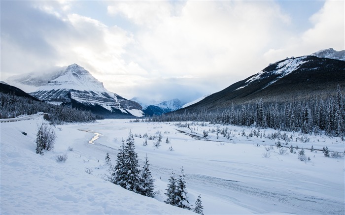 Jungle winter snow mountains frozen river 4K Ultra HD Views:13372 Date:2017/12/14 9:51:22