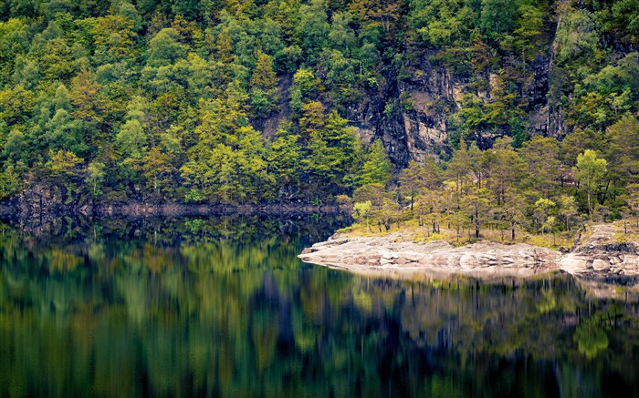 Norvège, automne, belle, forêt, lac, reflexion Vues:10423