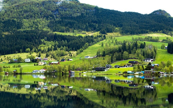 Norvège, jungle, campagne, maisons, réflexion Vues:14365