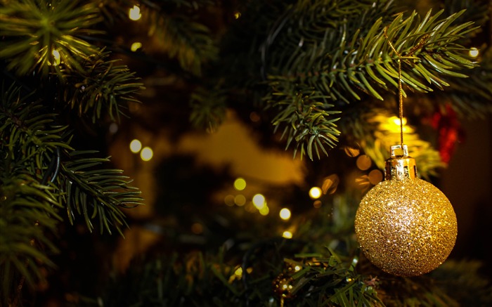 Xmas tree golden ball 2018 4K Ultra HD Views:10674 Date:2017/12/11 3:36:36