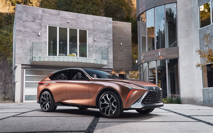 2018 Lexus LF-1 Limitless Concept Car Views:17566