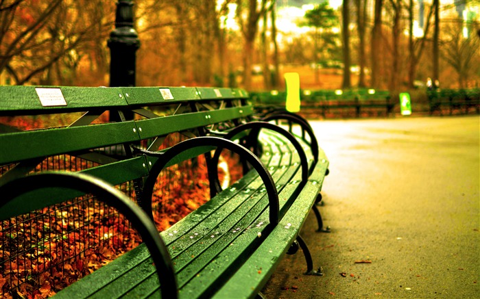 Autumn park rainy day bench landscape Views:9826 Date:2018/1/26 8:13:44