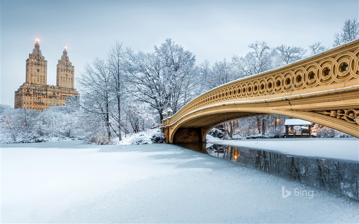 Bow Bridge em Central Park, Nova York, Bing, 2018 Visualizações:9356