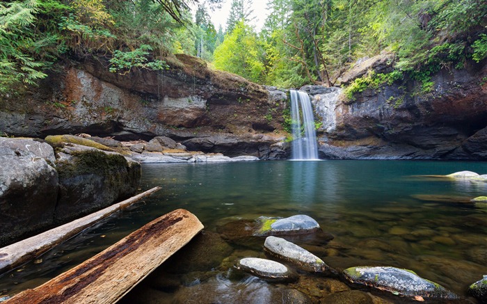 Original jungle stream falls dead wood Views:18434 Date:2018/1/9 2:17:40