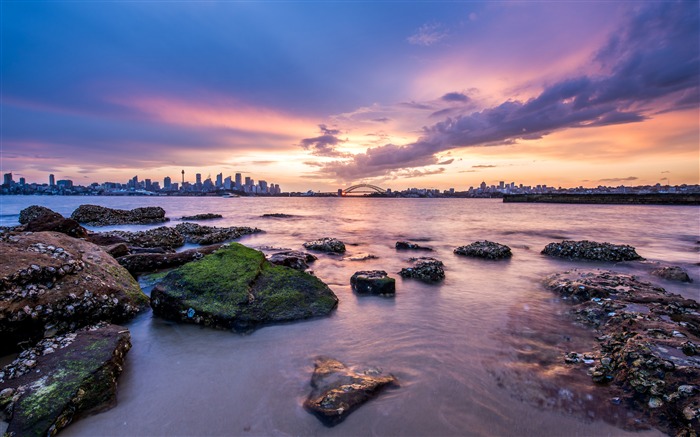 Sydney city buildings beach rock sunset Views:13225 Date:2018/1/9 2:27:54