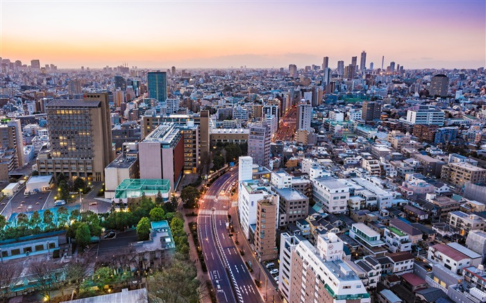 Ciudad de Tokio que construye el horizonte de la oscuridad Vistas:12192