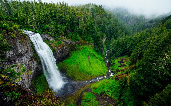 Tropical, forêt vierge, chute d'eau, cours d'eau Vues:9400