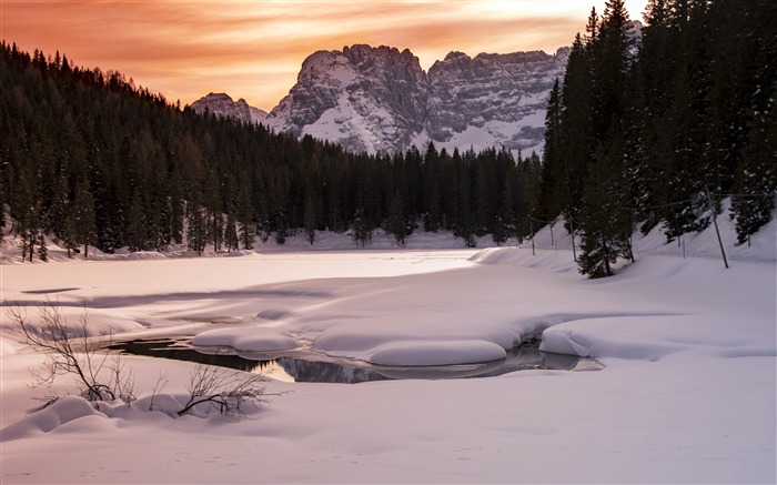 Invierno, selva, alpino, hielo, nieve, ocaso Vistas:7526