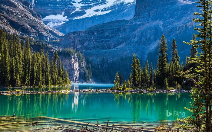 Parque Nacional Yoho Lago OHara, Bing, 2018 Visualizações:14643