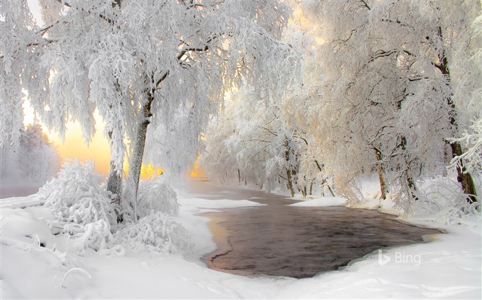 Finlândia, Inverno, Floresta, Neve, Rio, 2018, Bing Visualizações:12128