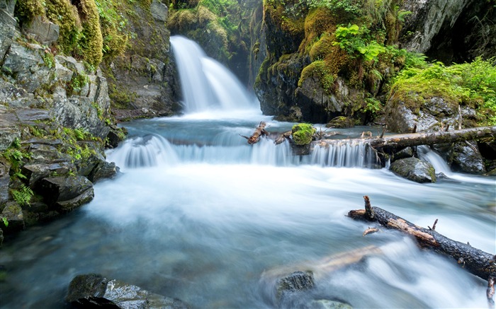 Jungle, rivière, cascade, rocher, mousse Vues:9706