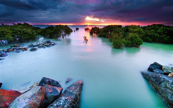 Mangrove, Rock, Océan, Coucher de soleil, Skyline Vues:9099