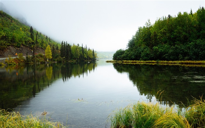 Février 2018, Belle, HD, Nature, Paysage Vues:27648