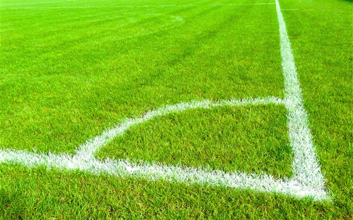 Terrain de football, vert, herbe, lignes Vues:18330