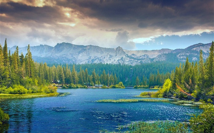 Primavera, bosque, árbol, lago, cordillera Vistas:14308