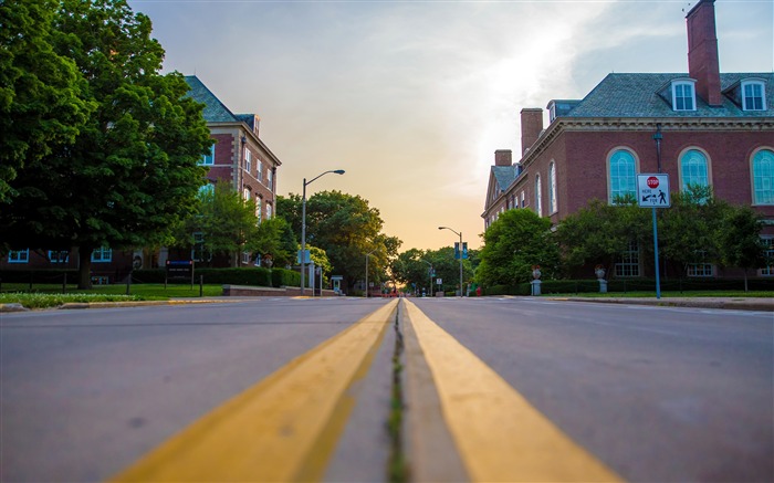 大學，校園，道路，教學樓 查看次數:6999