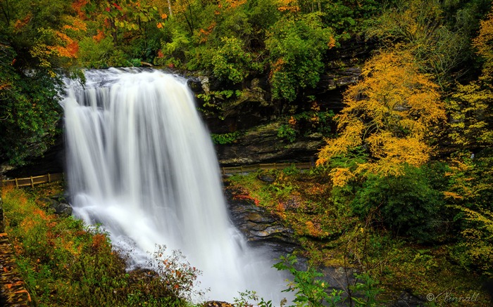 Outono, Selva, Cachoeira, 4K, Natureza, Paisagem Visualizações:13028