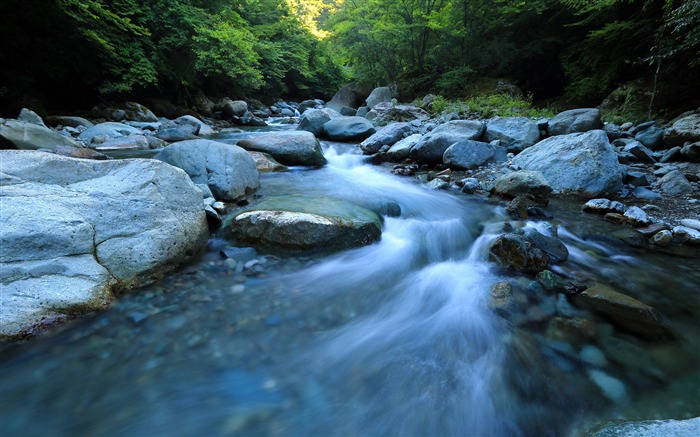 Green forest river rocks morning Views:9434 Date:2018/3/8 6:48:18