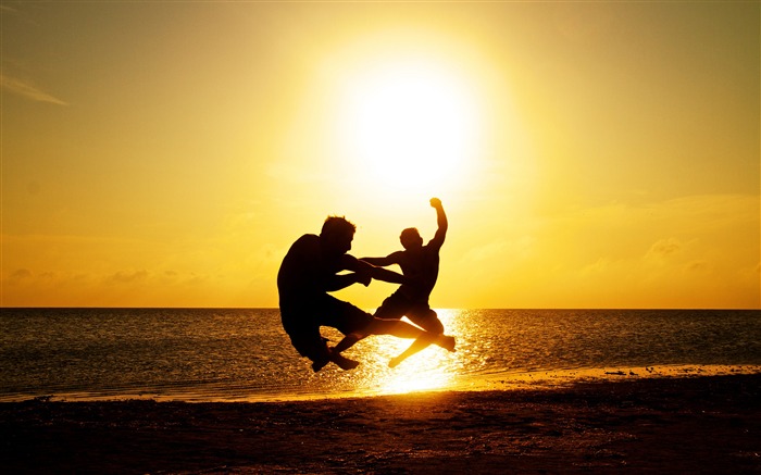 Coucher de soleil, Océan, Plage, Silhouette, gens Vues:7628