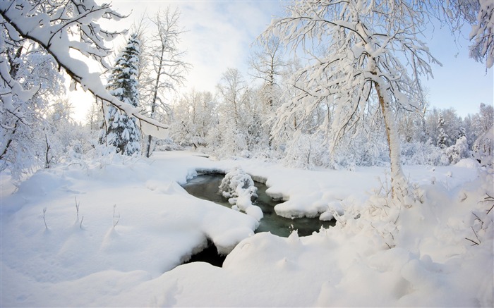 冬季，阿拉斯加州，雪，森林，河流 查看次數:14271