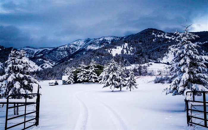 冬天，雪，高山，森林，树木 浏览:8212