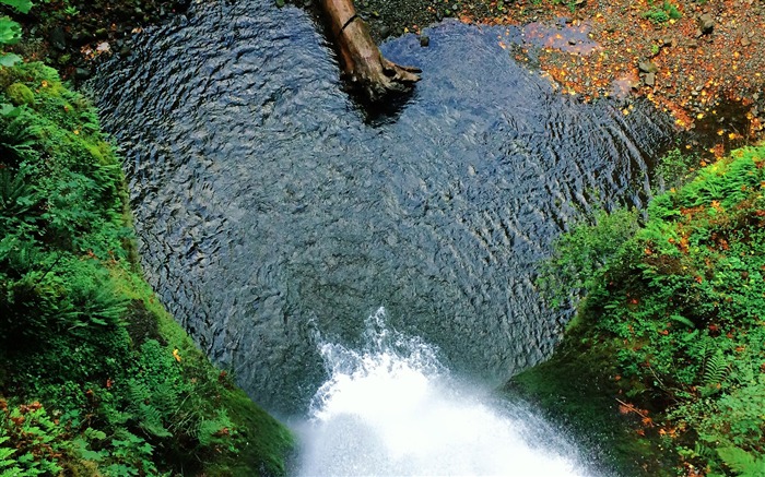 Bosque, valle, río límpido, cascada, paisaje Vistas:9493