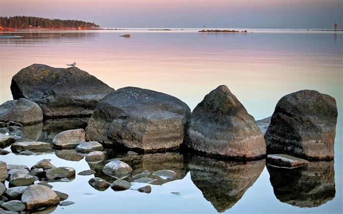 Orilla del lago, rocoso, pájaro, puesta del sol, paisaje Vistas:9487