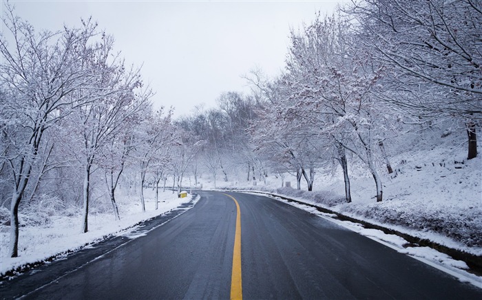 冬季，森林，冰雪，道路，自然，风景 浏览:11434