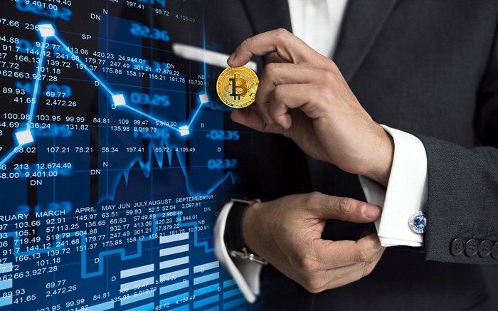 Bitcoin, argent, pièce de monnaie, entreprise, investissement Vues:10910