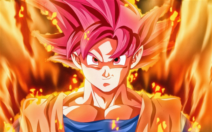 Dragon Ball Super Saiyan God Goku Views:23762 Date:2018/5/26 11:43:56