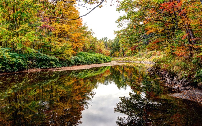 England Autumn Forests Baker River 4K HD Views:17445 Date:2018/5/9 8:49:03