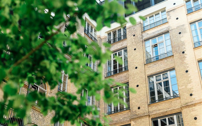 Europeo, universidad, escuela, edificio, foto de la esquina Vistas:6847